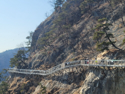 강원도, 해빙기 대비 합동 안전 감찰·점검 나서