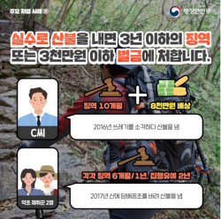 경북도, 봄철 산불방지 대응태세 점검 긴급 영상회의 개최
