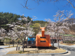 청량산도립공원관리사무소, 봉화청량산캠핑장 본격적인 손님맞이 나서