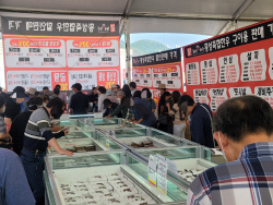 제19회 횡성한우축제는 