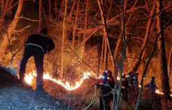 김해시 "산불 없는 김해 만들기.. 시민 협력 절실"