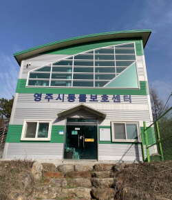 영주시, 유기동물 감소 위해 활동하고 있는 ‘동물보호 단체’ 소개