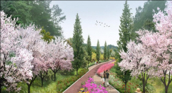 치악산 바람길숲 조성사업, 3월 본격 공사 착수