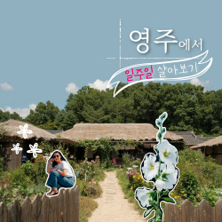 영주시, 체류형 관광활성화 위해  ‘일주일 살아보기’ 프로그램 운영