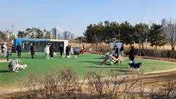 인천시, 월미공원에 반려견 놀이터 조성 … 5월 말 개장