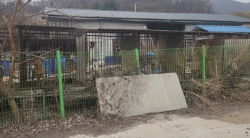 김동연 "반려동물, 입양하는  문화 조성해야...경기도가 앞장"