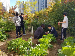 남양주시 ‘중학교 치유텃밭’ 운영…공감능력↑