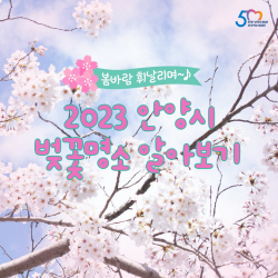 [카드뉴스] 안양시 벚꽃명소 베스트4
