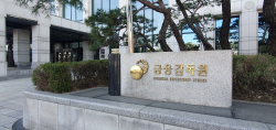 금감원, ‘보험사 지급여력비율’ 회계법인 가이던스 제정