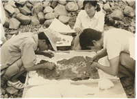 경북도, 문화재청 주관 ‘1973, 천마를 깨우다’기념사업 추진
