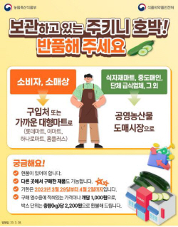 안동시, 미승인 유전자 변형 ‘주키니 호박’ 판매 중지...전량 수거·폐기