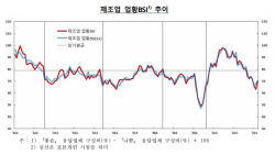 반도체 설비투자 수요 증가…제조업 체감경기 7p↑