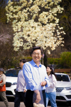 김동연 "팔달산 벚꽃, 이번 주말이 절정"...봄꽃 소식 알려