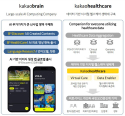 해외 투자 유치 나선 카카오, 힘 받는 AI·헬스케어