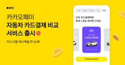 카카오페이 "차 살 때 카드 혜택 한눈에" 비교 서비스 출시