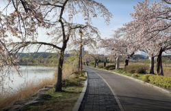 강릉 경포호수 산책로, 반려견 동반 출입 집중 단속