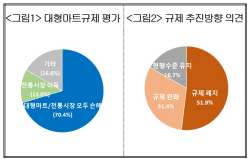 "10년 낡은 유통규제에 대형마트·전통시장 모두 피해"
