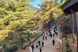 안양시 서울대 관악수목원 개방…‘비밀의숲’ 공개