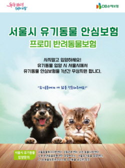 DB손해보험, 서울시 유기동물 안심보험 지원사업 3년 연속 선정