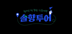 강릉시 솔향투어..현지인 찐 추천 강릉 여행코스 소개