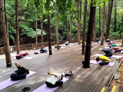 의왕시 산림치유 프로참여 공모…바라산 심신힐링