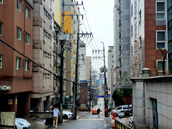 쏟아지는 전세사기 대책…국회서 잠자는 전세사기법은?