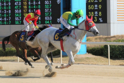 2023년 삼관경주 서막.. 30일 ‘KRA컵 마일’ 3세마 치열한 승부