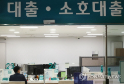 대출부실 