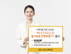 KB손해보험, 보장구조 확대...슬기로운 간편보험 Plus 출시