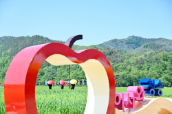 ‘산소카페 청송정원’ 짙푸른 청보리로 새 단장...관광객 맞을 준비 마쳐