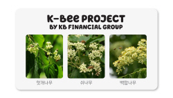 KB금융, 강원도 홍천에 밀원수 10만 그루 심는다