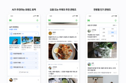 ‘실검 부활’ 논란에 기 못 펴는 양대 포털