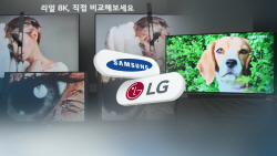 삼성전자, 1분기 글로벌 TV 시장 점유율 1위…LG전자, 올레드 1위