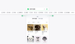 네이버 검색 새단장…"AI 검색 경험 최적화"