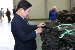 고흥군, 청정해역 건다시마 첫 위판 개시