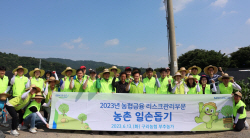 NH농협은행, 부추 농가 찾아 일손 돕기 구슬땀