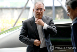 정의선 "넥쏘 후속 수소전기차 2025년 출시 예정"