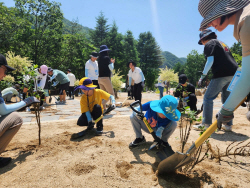 두나무, 임직원과 함께 ‘탄소 중립 위한 나무심기 봉사활동’ 진행