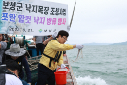 김규웅 보성군 부군수, 포란 암컷 낙지 방류행사 참여