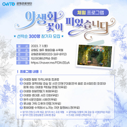 "강원 야생회 꽃이 피었습니다"…원주 동화마을 수목원