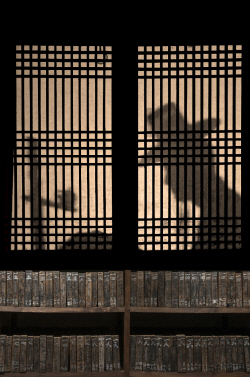 경북도서관, 서가풍경(序家風景) 사진 展 개최