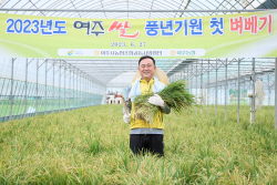 이충우 여주시장, 올 첫 벼베기 행사 참석..."올해도 풍년 농사 기원"
