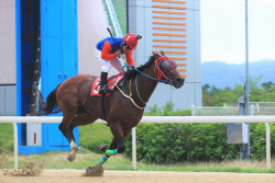 렛츠런파크 부산경남, 2일 ‘부산광역시장배’ 위너스맨·라온더파이터 격돌