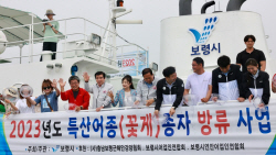 보령시, 삽시도 해상에 꽃게 종자 82만여 마리 방류