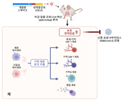 카이스트, 호흡기부터 강력 차단하는 코로나19 백신 개발