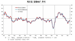 반도체 가격 회복 지연...이달에도 제조업 체감경기 부진 계속