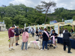 강원도 5월 누적 방문객, 지난해 대비 5% ↑