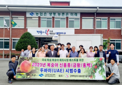 경북도,자체 육성 복숭아 신품종 ‘금황· 홍백’ 두바이에 첫 선