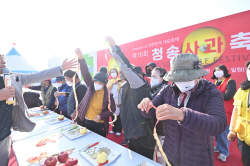 청송군,올해 청송사과축제 주제는 ‘청송사과, 찬란한 금빛 향연’