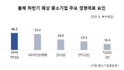 中企 44% "하반기 경영 비용절감·구조조정 최우선"